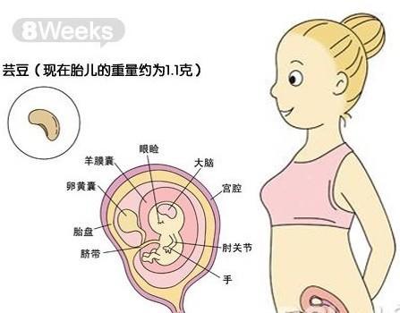 上海哪家医院做试管婴儿比较好？影响卵子质量