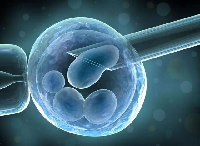 多囊卵巢可以做试管婴儿吗？