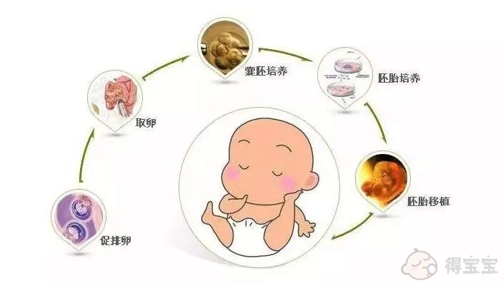 2022年南京助孕指南。南京鼓楼医院试管婴儿流程安排