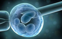 <strong>温州助孕生子-移植后避免高温会导致胚胎的生物化学反应</strong>