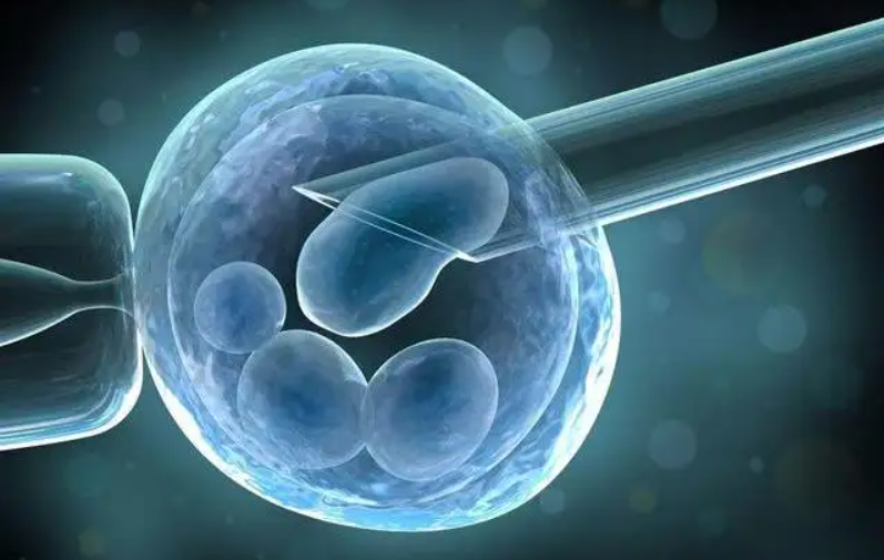 温州助孕生子-移植后避免高温会导致胚胎的生物化学反应